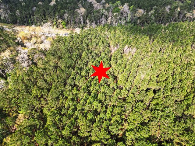 15871 Ridge Oak Road, Willis, TX 77378