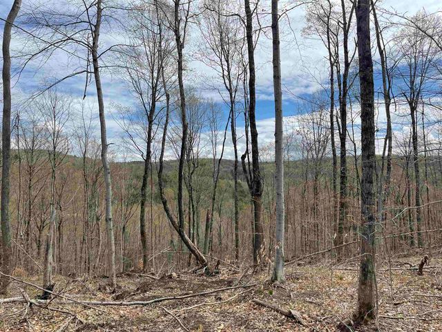 0 Grandview Road, Williamstown, VT 05079