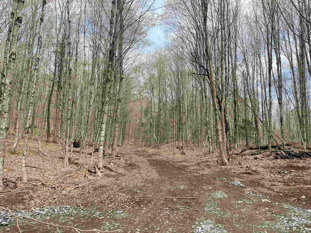 0 Grandview Road, Williamstown, VT 05079