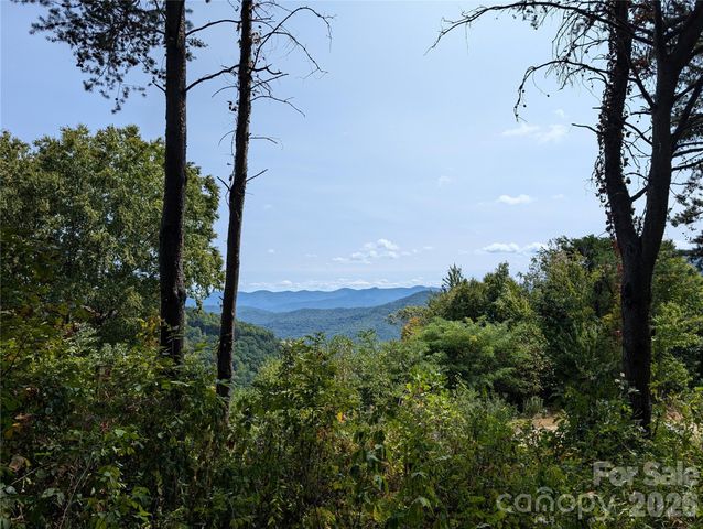 42 High Rock View Drive, Canton, NC 28716