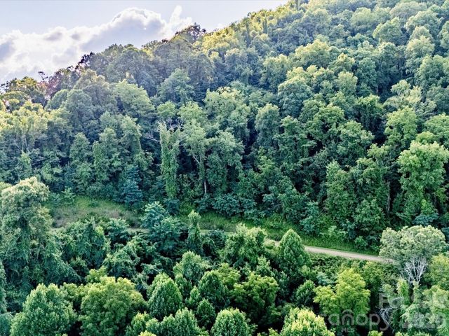42 High Rock View Drive, Canton, NC 28716