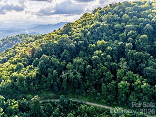 42 High Rock View Drive, Canton, NC 28716