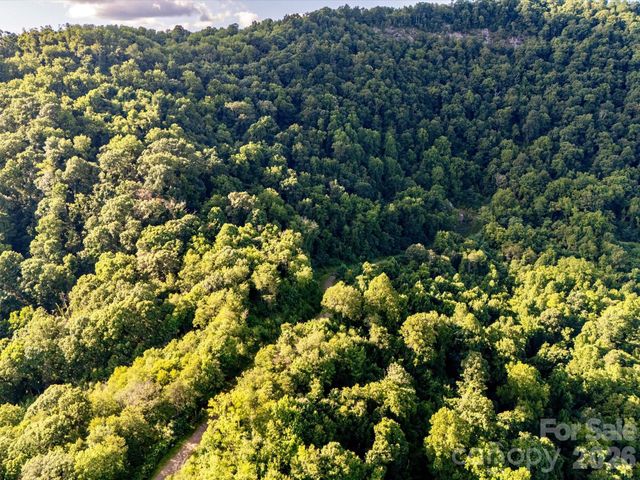 42 High Rock View Drive, Canton, NC 28716