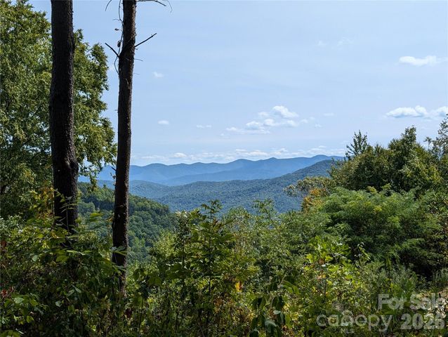 42 High Rock View Drive, Canton, NC 28716