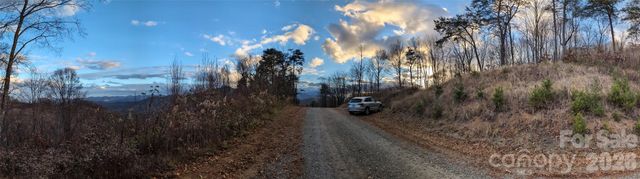 42 High Rock View Drive, Canton, NC 28716