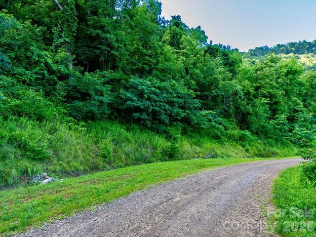 42 High Rock View Drive, Canton, NC 28716