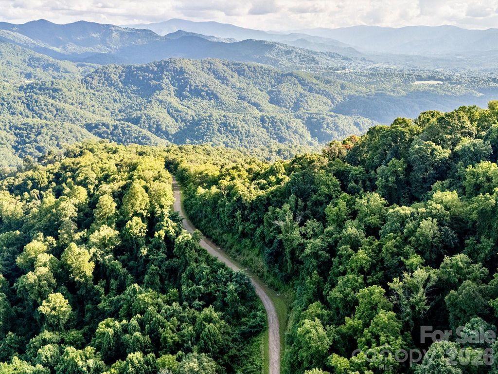 42 High Rock View Drive, Canton, NC 28716