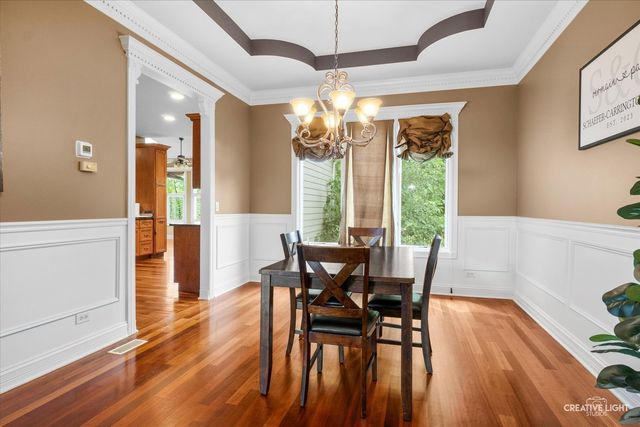 12814 Hawks Bill Lane, Plainfield, IL 60585