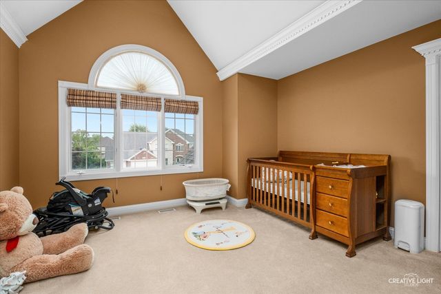 12814 Hawks Bill Lane, Plainfield, IL 60585