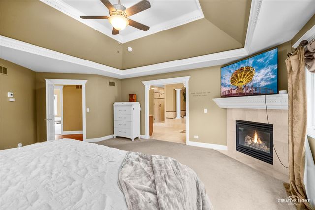 12814 Hawks Bill Lane, Plainfield, IL 60585
