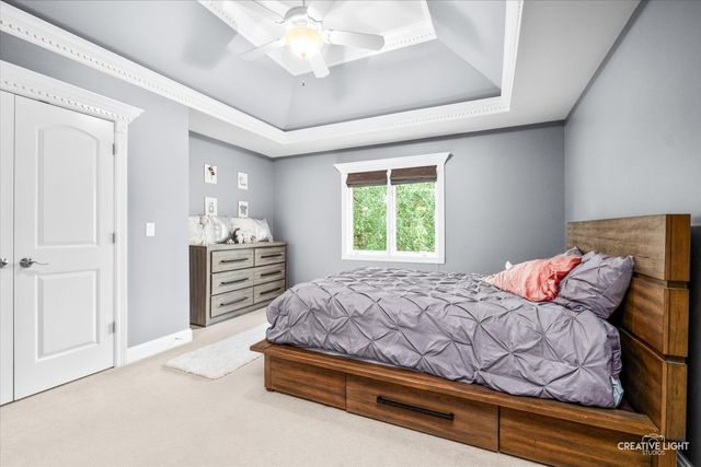 12814 Hawks Bill Lane, Plainfield, IL 60585