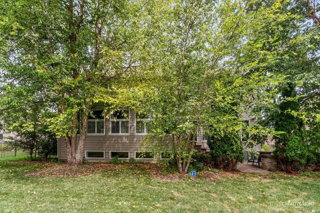 12814 Hawks Bill Lane, Plainfield, IL 60585