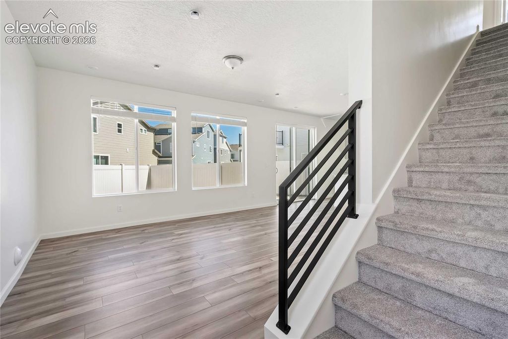9345 Twin Sisters Drive, Colorado Springs, CO 80927 — photo 4