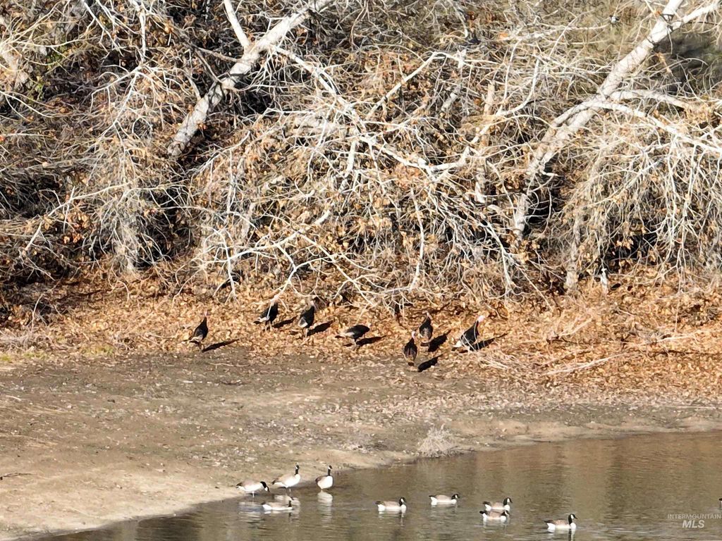 3615 Cassia, New Plymouth, ID 83655 photo 47