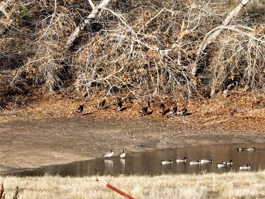 3615 Cassia, New Plymouth, ID 83655 photo 48