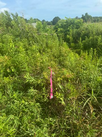 4798 Reggie Road, Johns Island, SC 29455