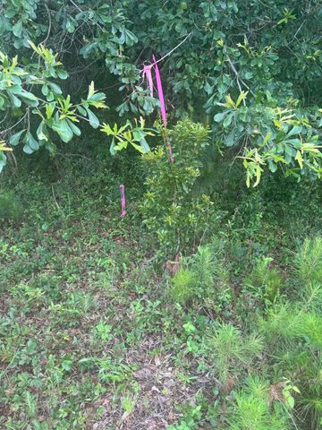 4798 Reggie Road, Johns Island, SC 29455