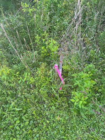 4798 Reggie Road, Johns Island, SC 29455