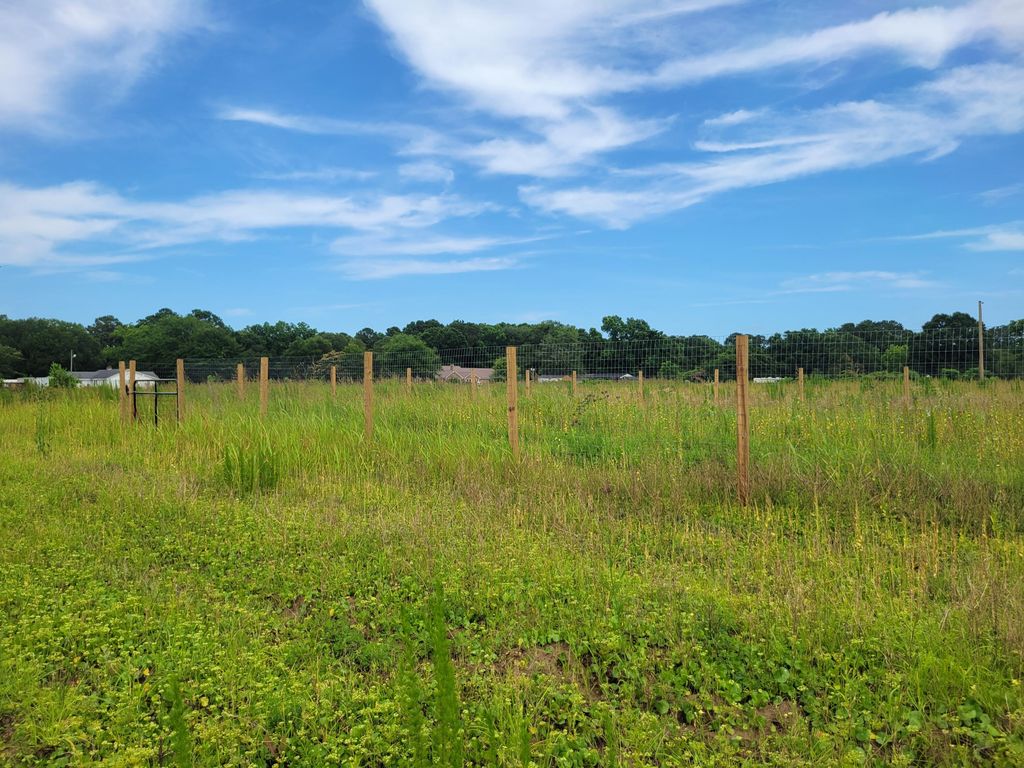 4798 Reggie Road, Johns Island, SC 29455