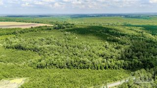 48 Watson Rd, Jay, FL 32565