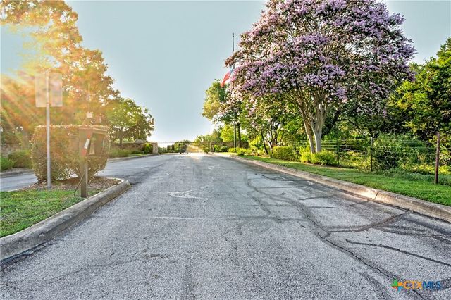 25867 Lewis Ranch Road, New Braunfels, TX 78132