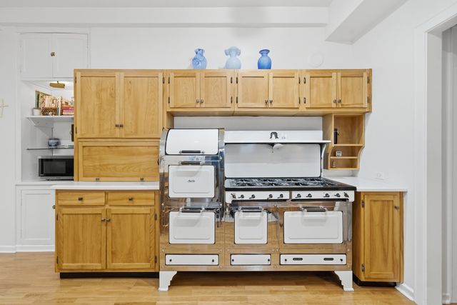 232 E Walton Place 3E, Chicago, IL 60611