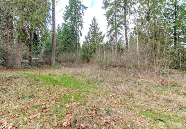 7308 335th Street Ct S, Roy, WA 98580