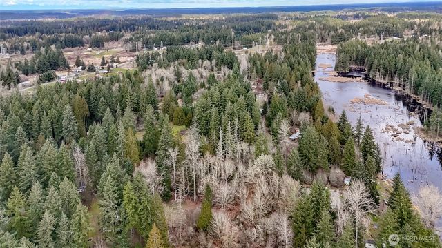 7308 335th Street Ct S, Roy, WA 98580