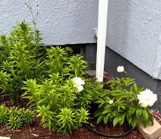 215 3rd Street NW, Wadena, MN 56482