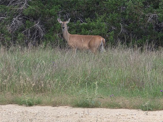TBD Sycamore Creek DR, Dripping Springs, TX 78620