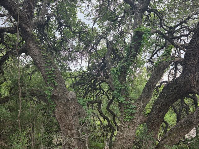 TBD Sycamore Creek DR, Dripping Springs, TX 78620