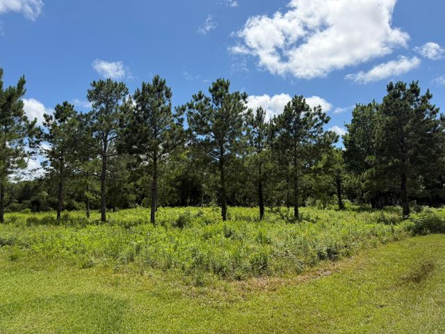***** Tranquil Trace St, Algoa, TX 77511
