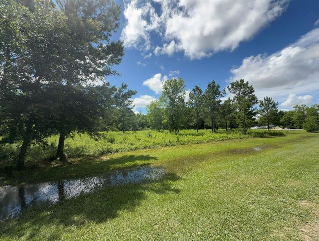 ***** Tranquil Trace St, Algoa, TX 77511