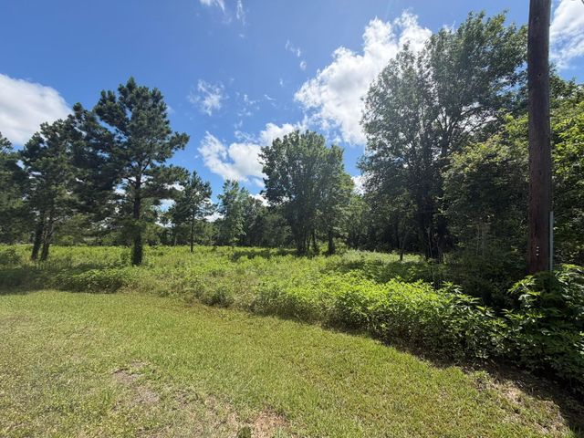 ***** Tranquil Trace St, Algoa, TX 77511