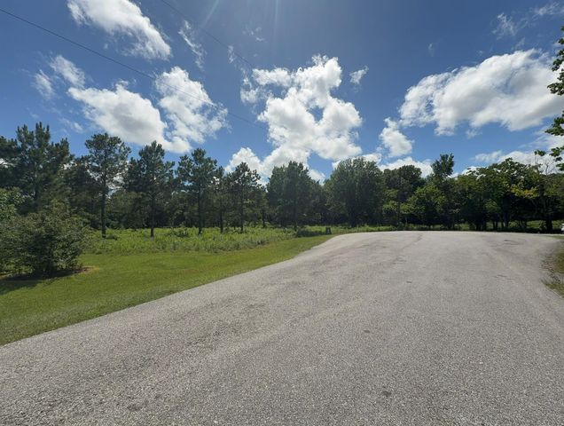 ***** Tranquil Trace St, Algoa, TX 77511