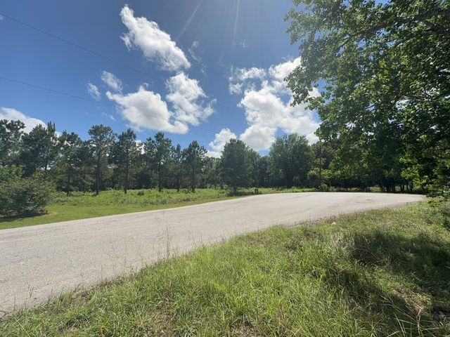 ***** Tranquil Trace St, Algoa, TX 77511