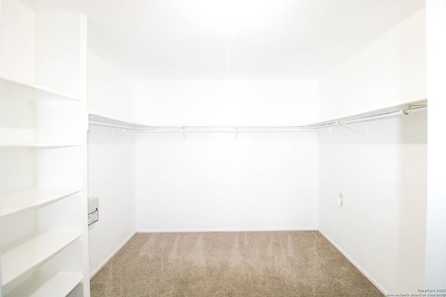 4602 Rock Nettle, San Antonio, TX 78247