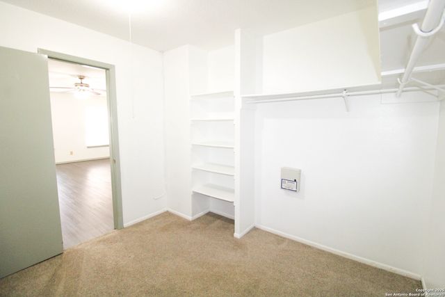 4602 Rock Nettle, San Antonio, TX 78247