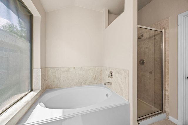 28130 Canyon Wren Drive, Katy, TX 77494