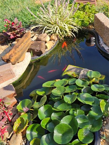 17245 Aspenwood, Lindale, TX 75771