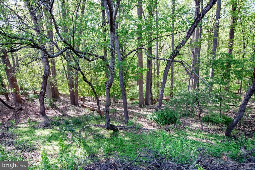 Image 18 of property listing at 46 ABBEY BRIDGE CT, Lutherville Timonium, MD 21093