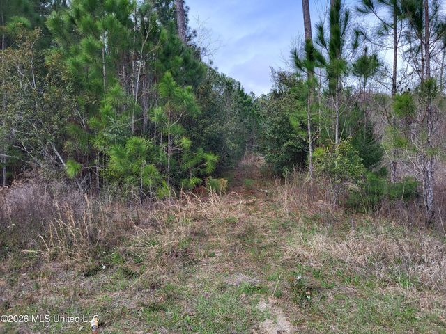 0 Jones Road, Pass Christian, MS 39571