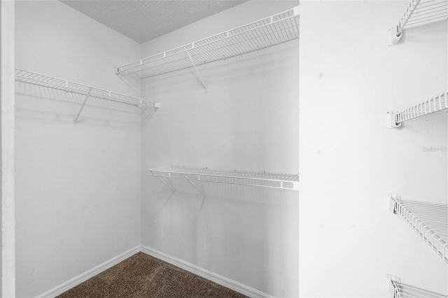 4253 BRENTWOOD PARK CIRCLE, Tampa, FL 33624