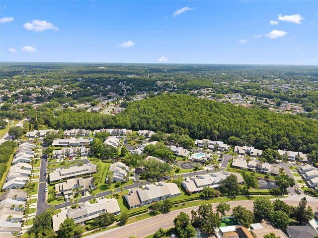 4253 BRENTWOOD PARK CIRCLE, Tampa, FL 33624