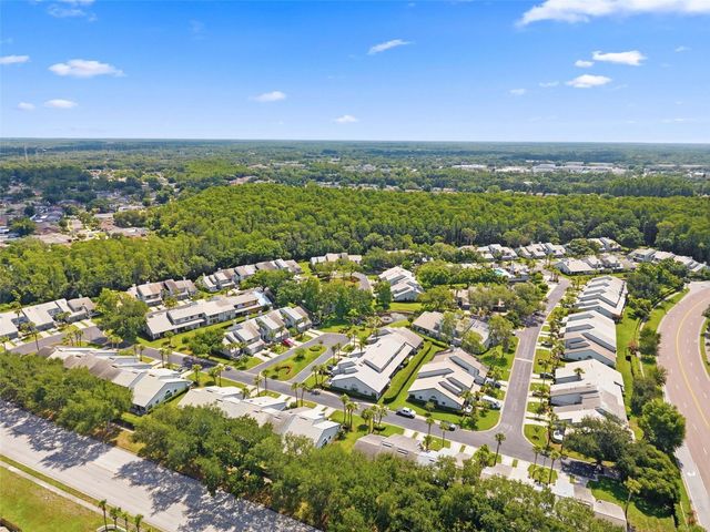 4253 BRENTWOOD PARK CIRCLE, Tampa, FL 33624
