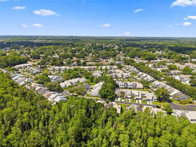 4253 BRENTWOOD PARK CIRCLE, Tampa, FL 33624