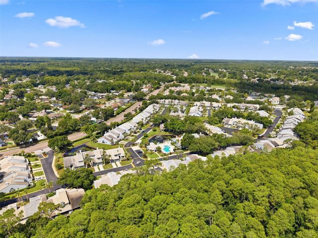 4253 BRENTWOOD PARK CIRCLE, Tampa, FL 33624
