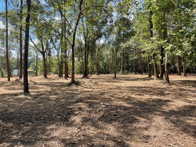 20804 Oakshade Drive, New Caney, TX 77357