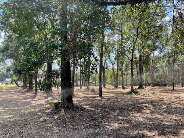 20804 Oakshade Drive, New Caney, TX 77357