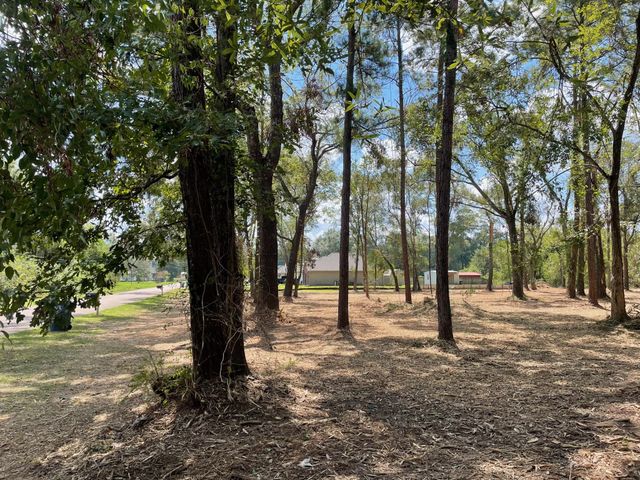 20804 Oakshade Drive, New Caney, TX 77357